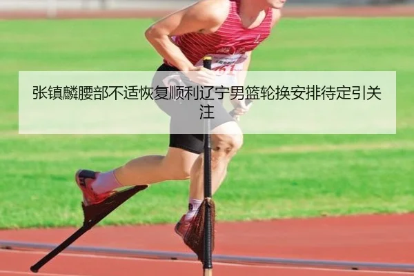 张镇麟腰部不适恢复顺利辽宁男篮轮换安排待定引关注